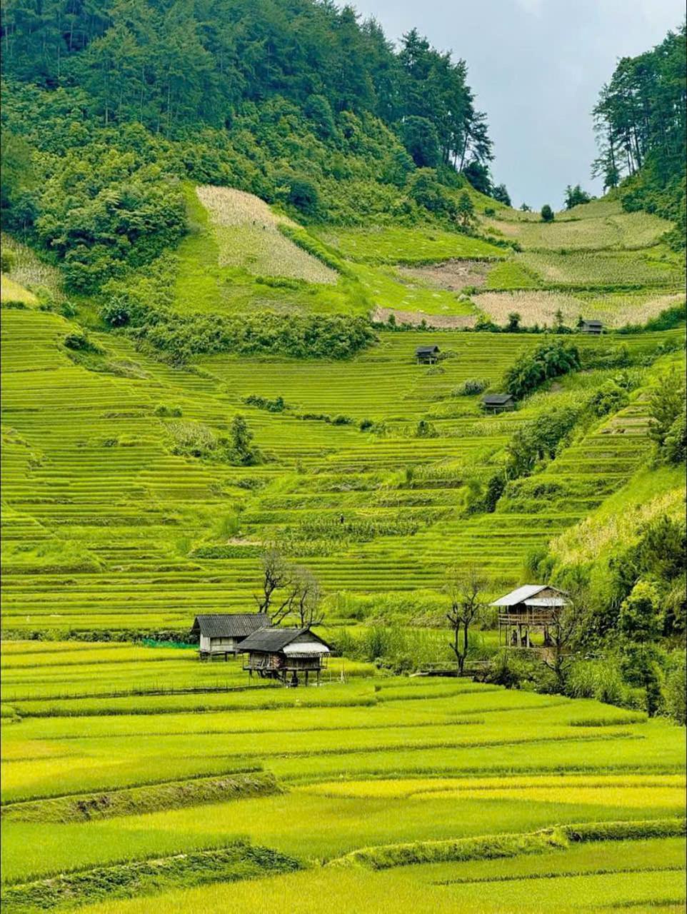 Mu Cang Chai Eco Home Exterior photo